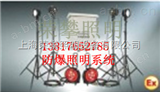 BFD8100B【上海BFD8100B】井场防爆照明系统