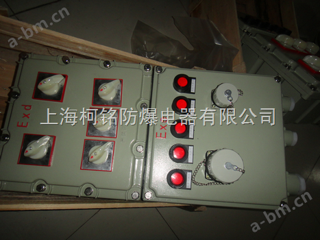 BXX防爆动力检修箱（可带插座）